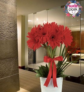 Kaynarca Çiçekçi, Kaynarca Çiçek Siparişi, Kaynarca çiçek