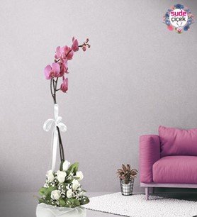 Tuzla çiçek Gönder, Tekli Mor Orkide, Ve Beyaz Güller